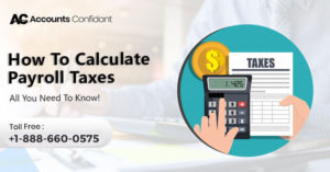 Payroll Tax Calculator: What it is & How to use it! (FAQ's Included)