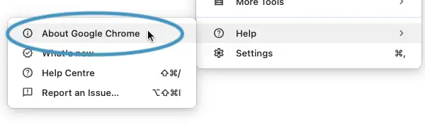 About Google Chrome
