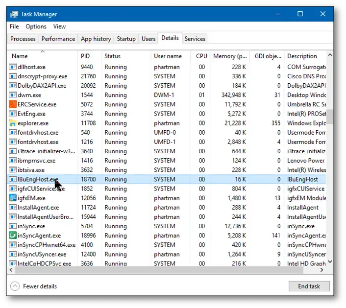 IBuEngHost.exe in Task Manager